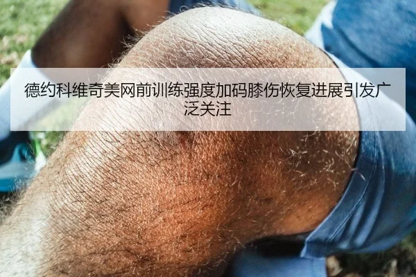 德约科维奇美网前训练强度加码膝伤恢复进展引发广泛关注