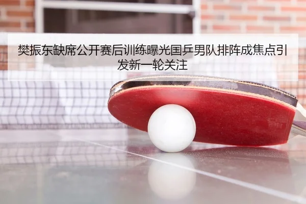 樊振东缺席公开赛后训练曝光国乒男队排阵成焦点引发新一轮关注